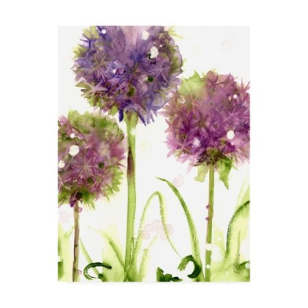 Dawn Derman 'Alliums' Canvas Art,35x47